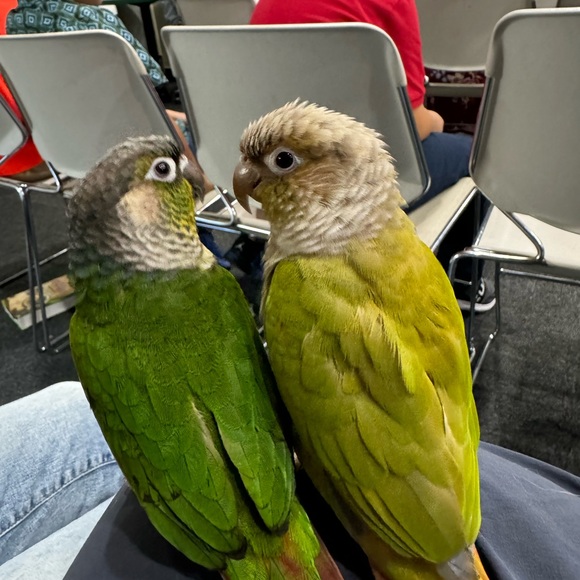 Meet your Posher, Andrea - Picture 3 of 3